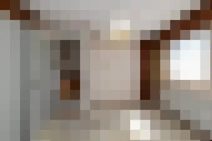 Zuideinde 215 Nieuwkoop thumbnail 12
