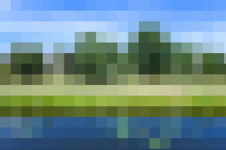 Zuideinde 215 Nieuwkoop thumbnail 28
