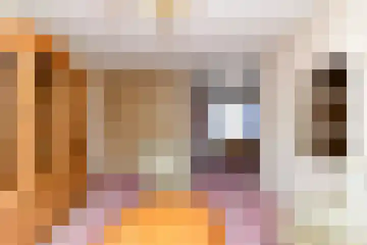Zuideinde 215 Nieuwkoop thumbnail 8