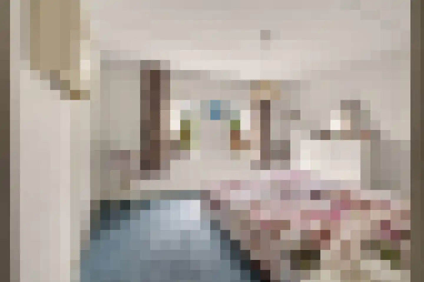 Zuideinde 216 Oostzaan thumbnail 21