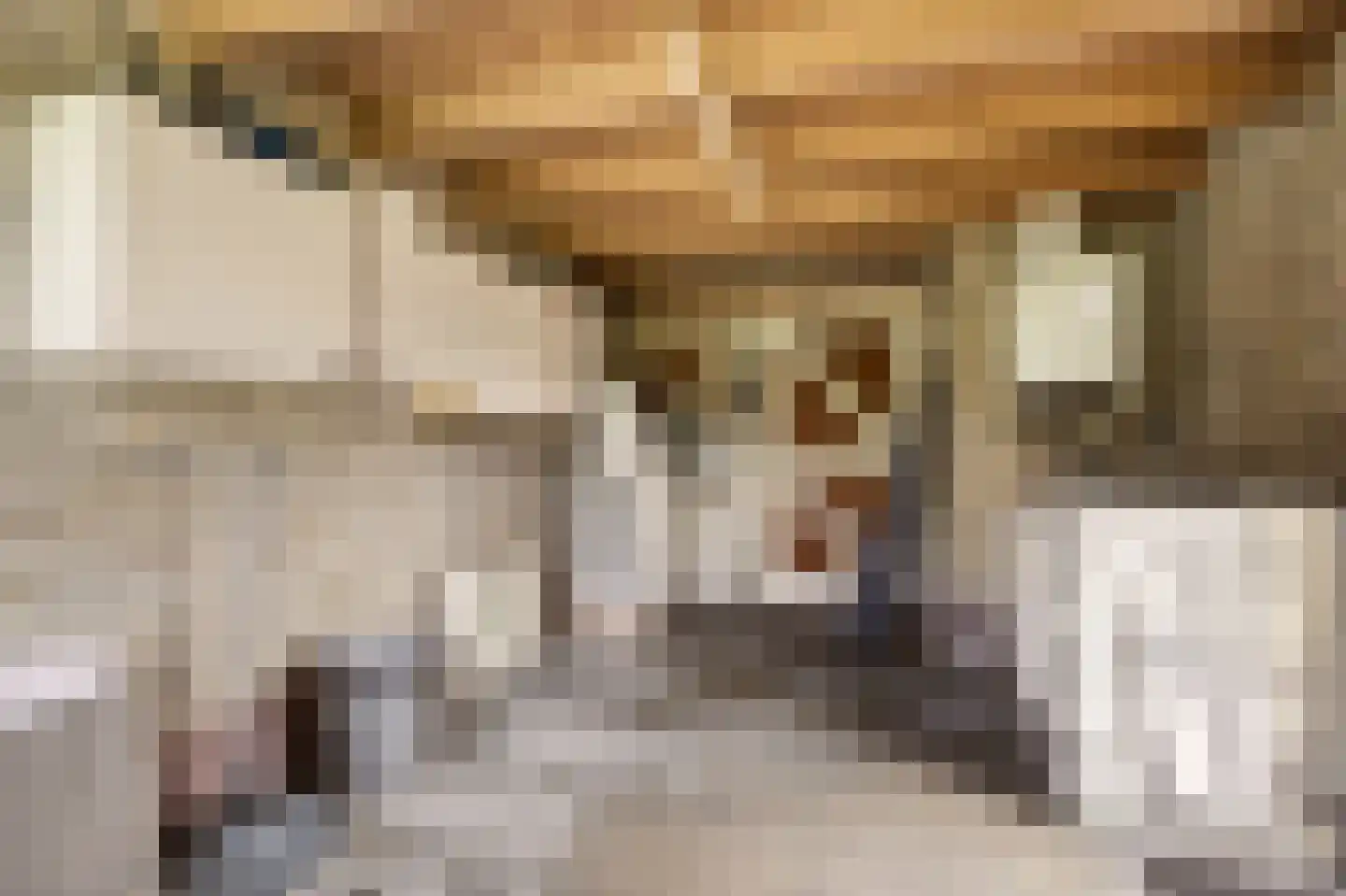 Zuideinde 216 Oostzaan thumbnail 29