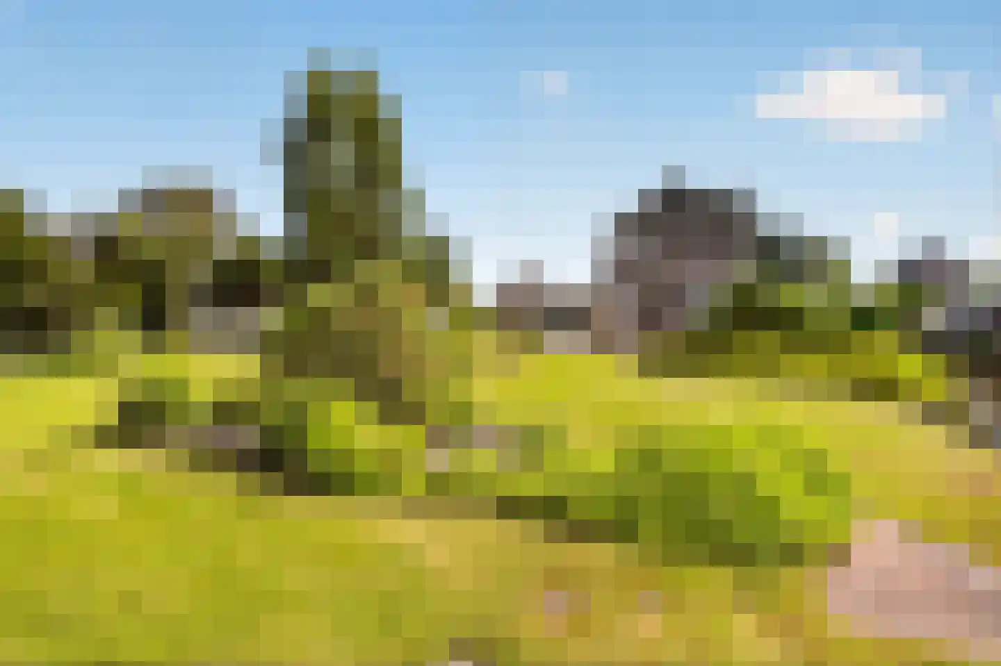 Zuideinde 216 Oostzaan thumbnail 30