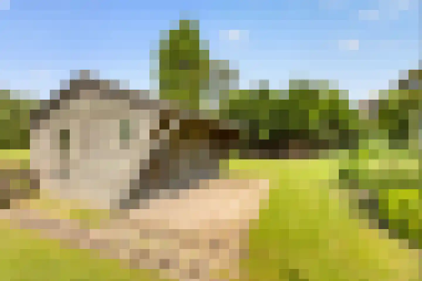 Zuideinde 216 Oostzaan thumbnail 31