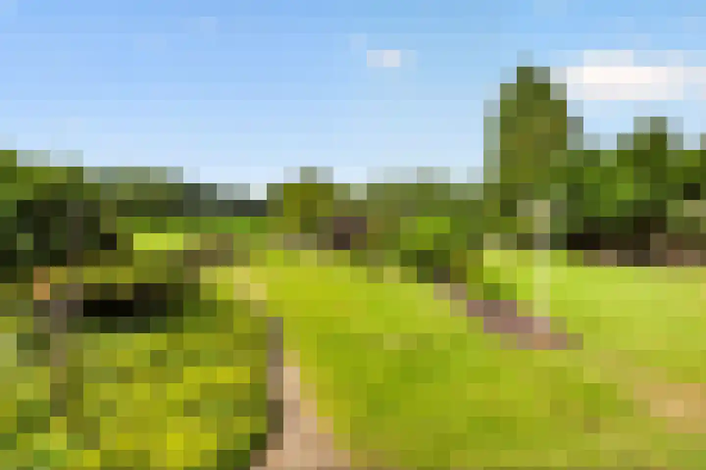 Zuideinde 216 Oostzaan thumbnail 33