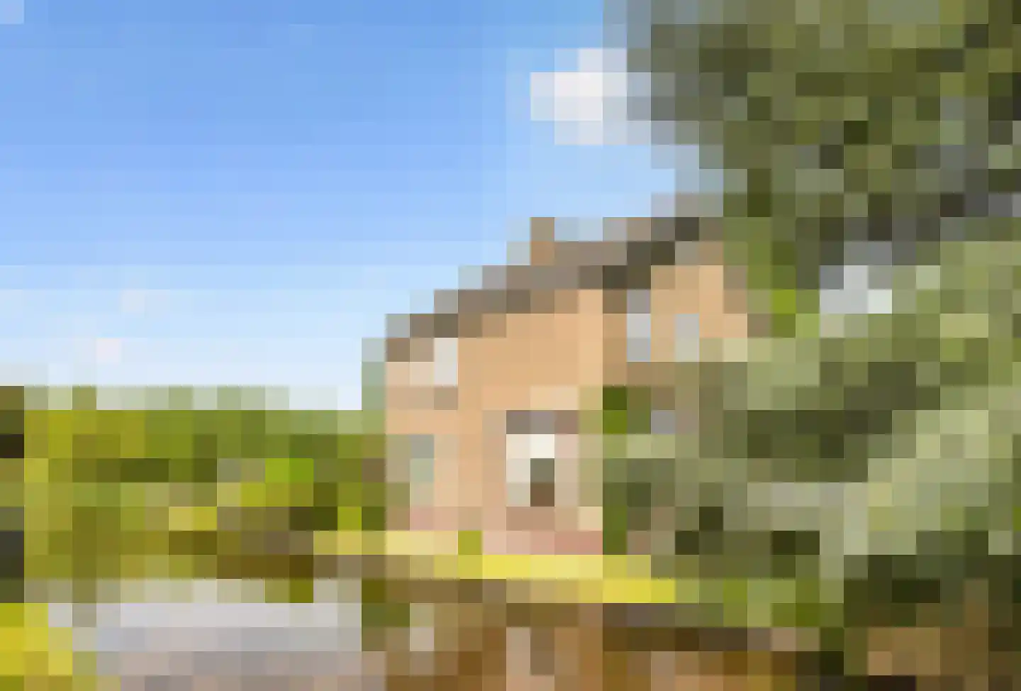 Zuideinde 216 Oostzaan thumbnail 35