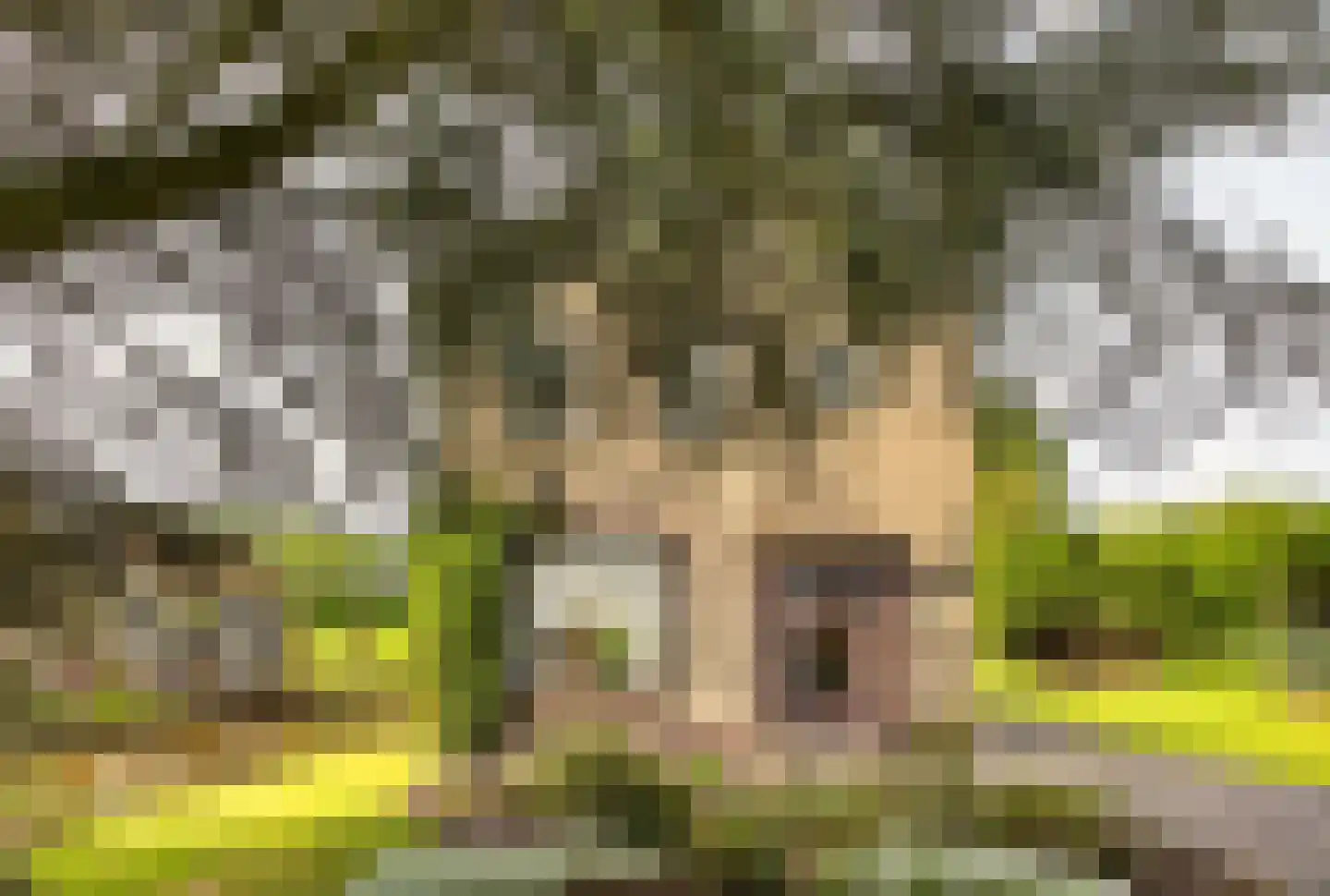 Zuideinde 216 Oostzaan thumbnail 36