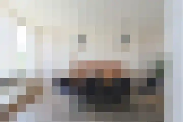 Zuideinde 22 Zevenhoven thumbnail 21