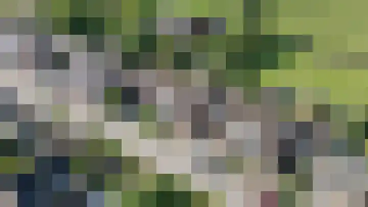 Zuideinde 22 Zevenhoven thumbnail 4