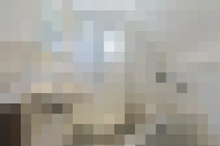 Zuideinde 22 Zevenhoven thumbnail 44