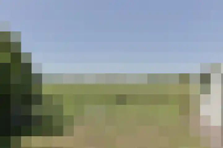 Zuideinde 22 Zevenhoven thumbnail 59