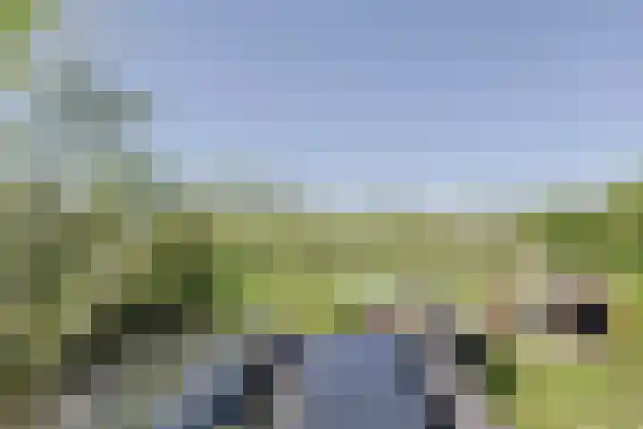 Zuideinde 22 Zevenhoven thumbnail 60