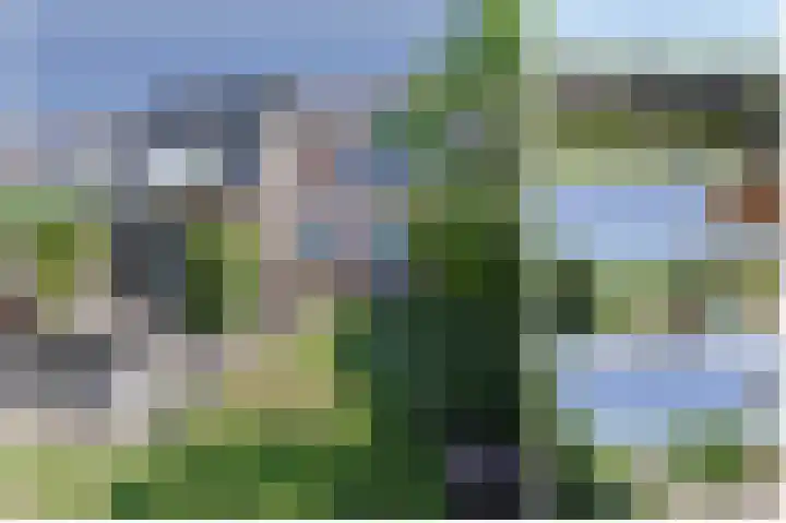 Zuideinde 22 Zevenhoven thumbnail 61