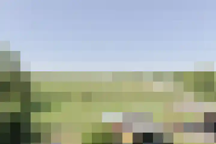 Zuideinde 22 Zevenhoven thumbnail 62