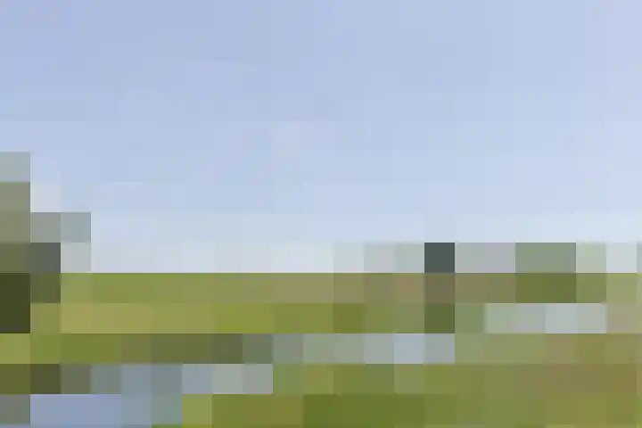 Zuideinde 22 Zevenhoven thumbnail 64