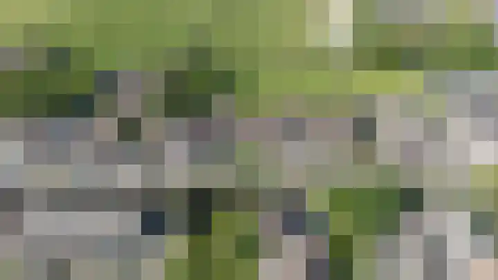 Zuideinde 22 Zevenhoven thumbnail 9
