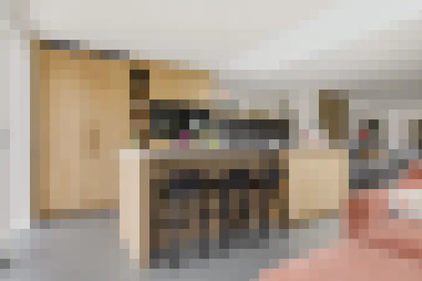 Zuideinde 221 Westzaan thumbnail 13