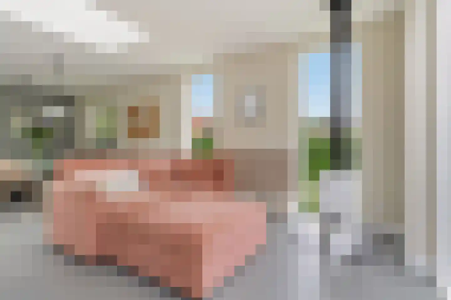 Zuideinde 221 Westzaan thumbnail 15