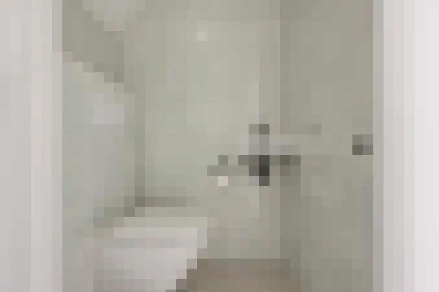 Zuideinde 221 Westzaan thumbnail 16