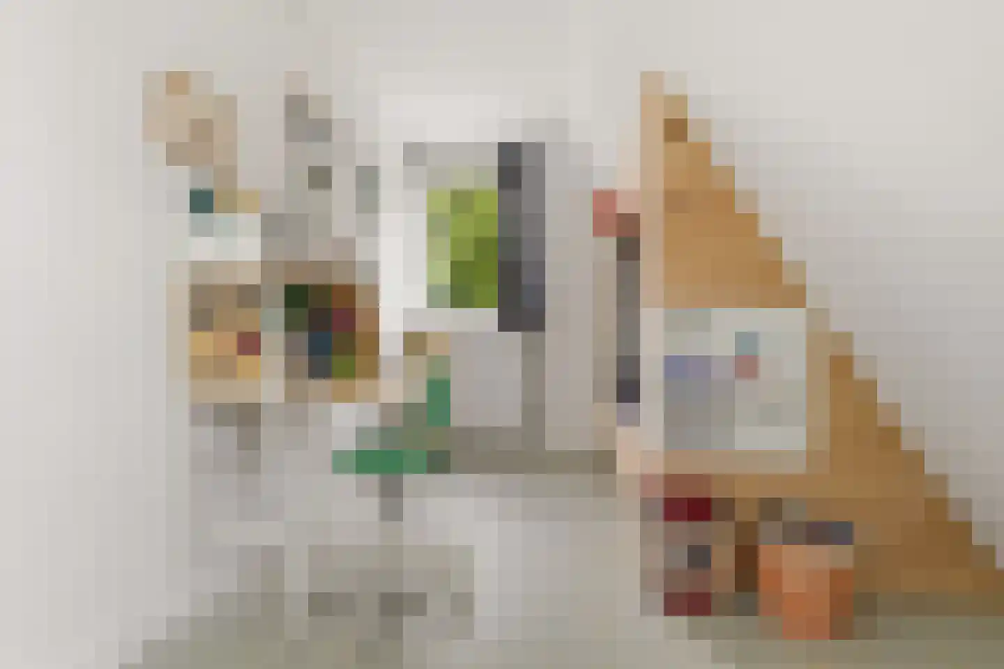 Zuideinde 221 Westzaan thumbnail 21