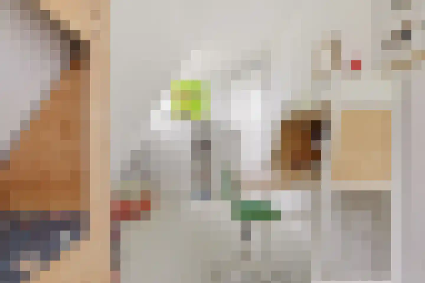 Zuideinde 221 Westzaan thumbnail 22