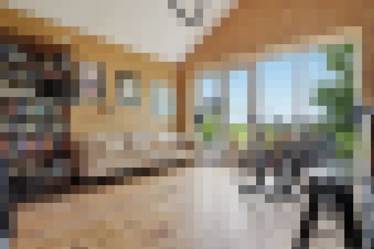 Zuideinde 221 Westzaan thumbnail 39