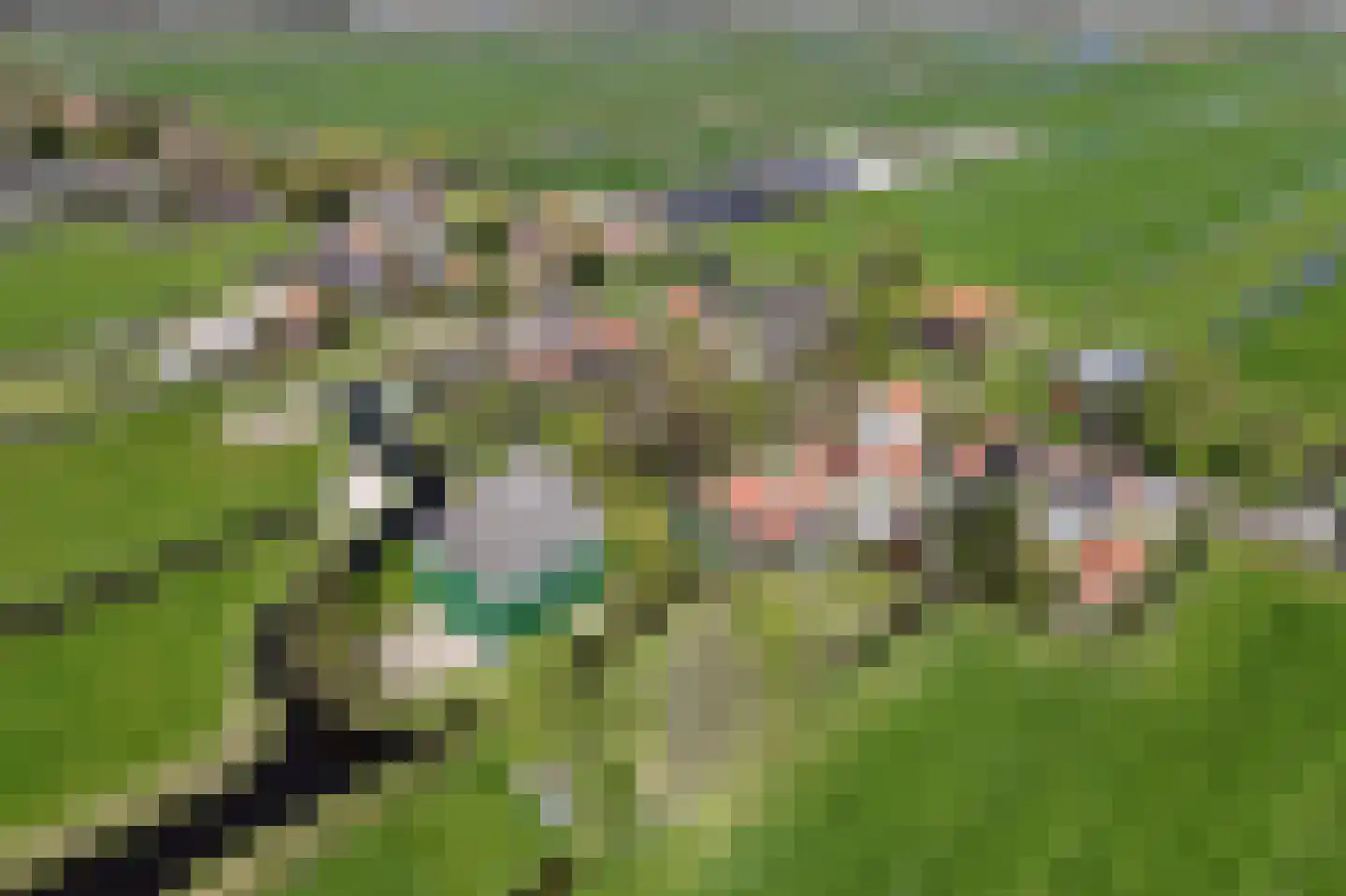 Zuideinde 221 Westzaan thumbnail 4