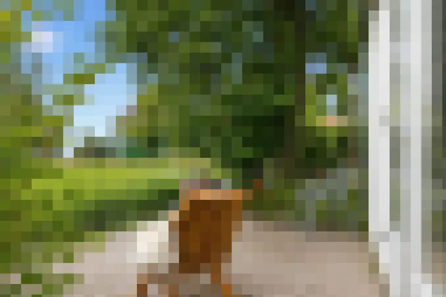 Zuideinde 221 Westzaan thumbnail 40