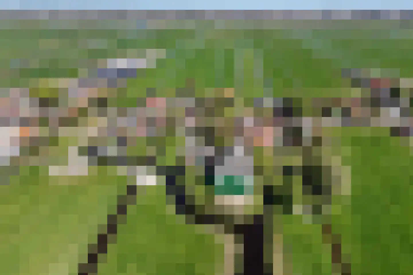 Zuideinde 221 Westzaan thumbnail 43
