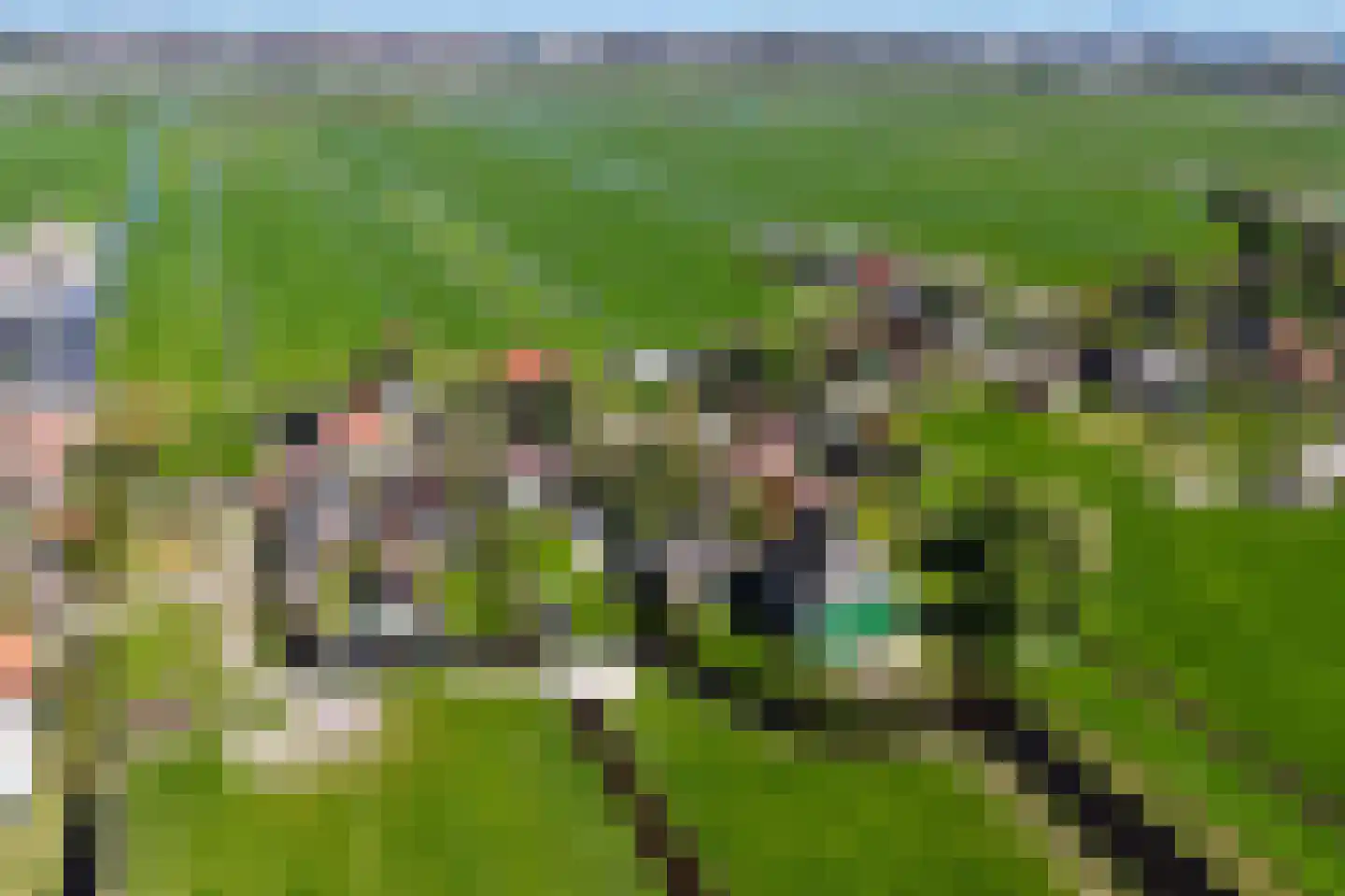 Zuideinde 221 Westzaan thumbnail 46