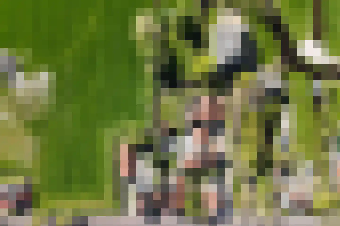 Zuideinde 221 Westzaan thumbnail 47
