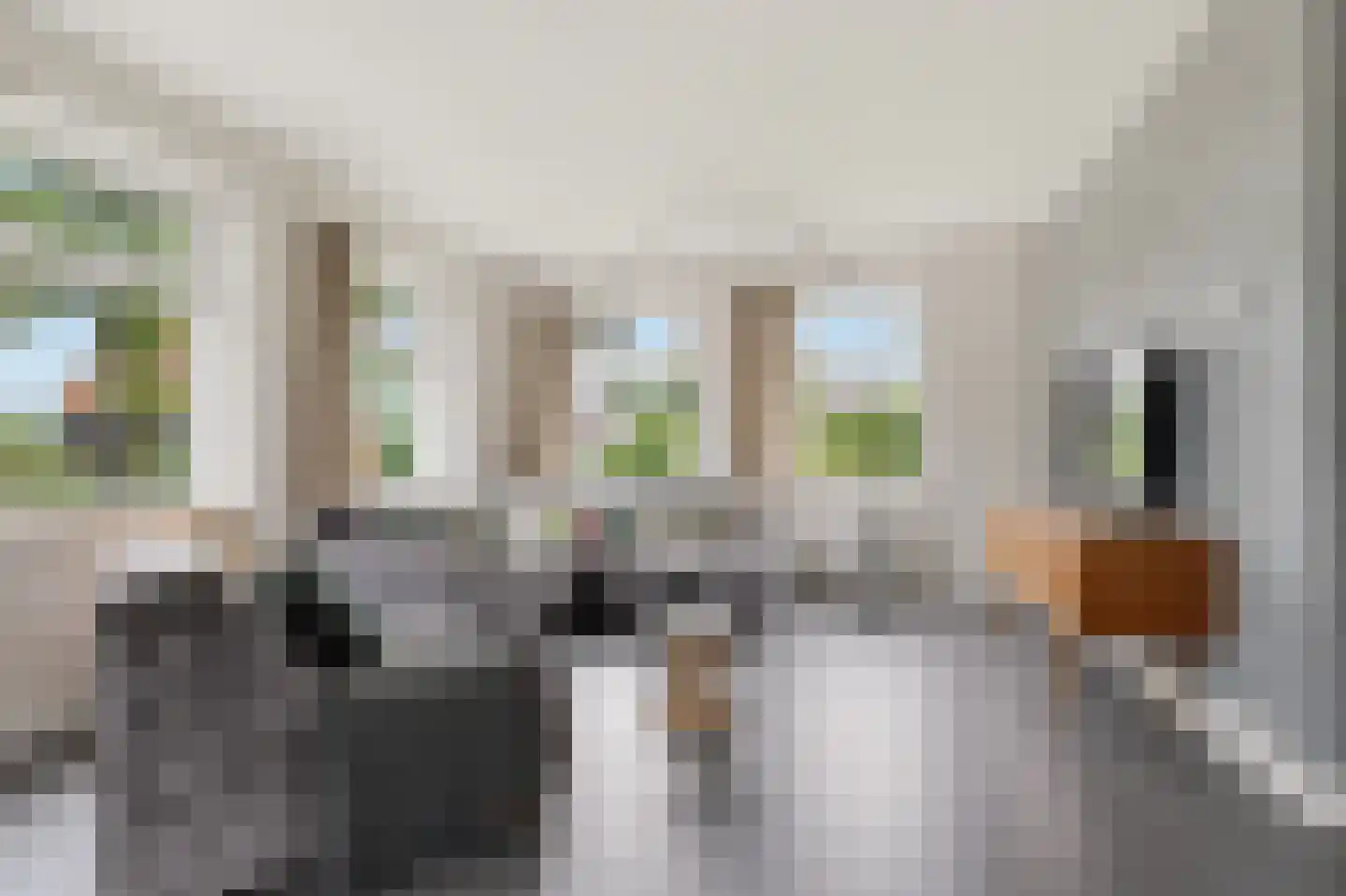 Zuideinde 221 Westzaan thumbnail 6