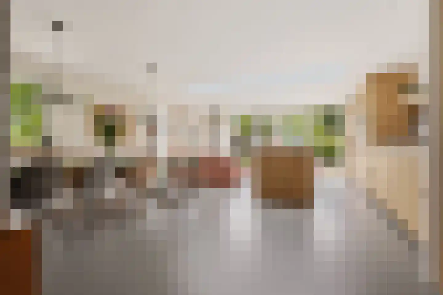 Zuideinde 221 Westzaan thumbnail 9