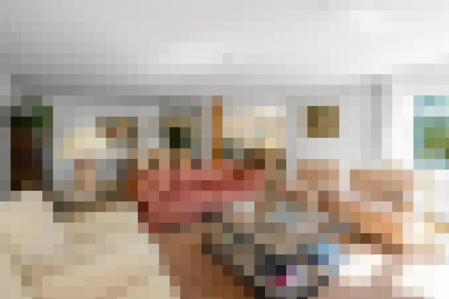 Zuideinde 227 Westzaan thumbnail 13