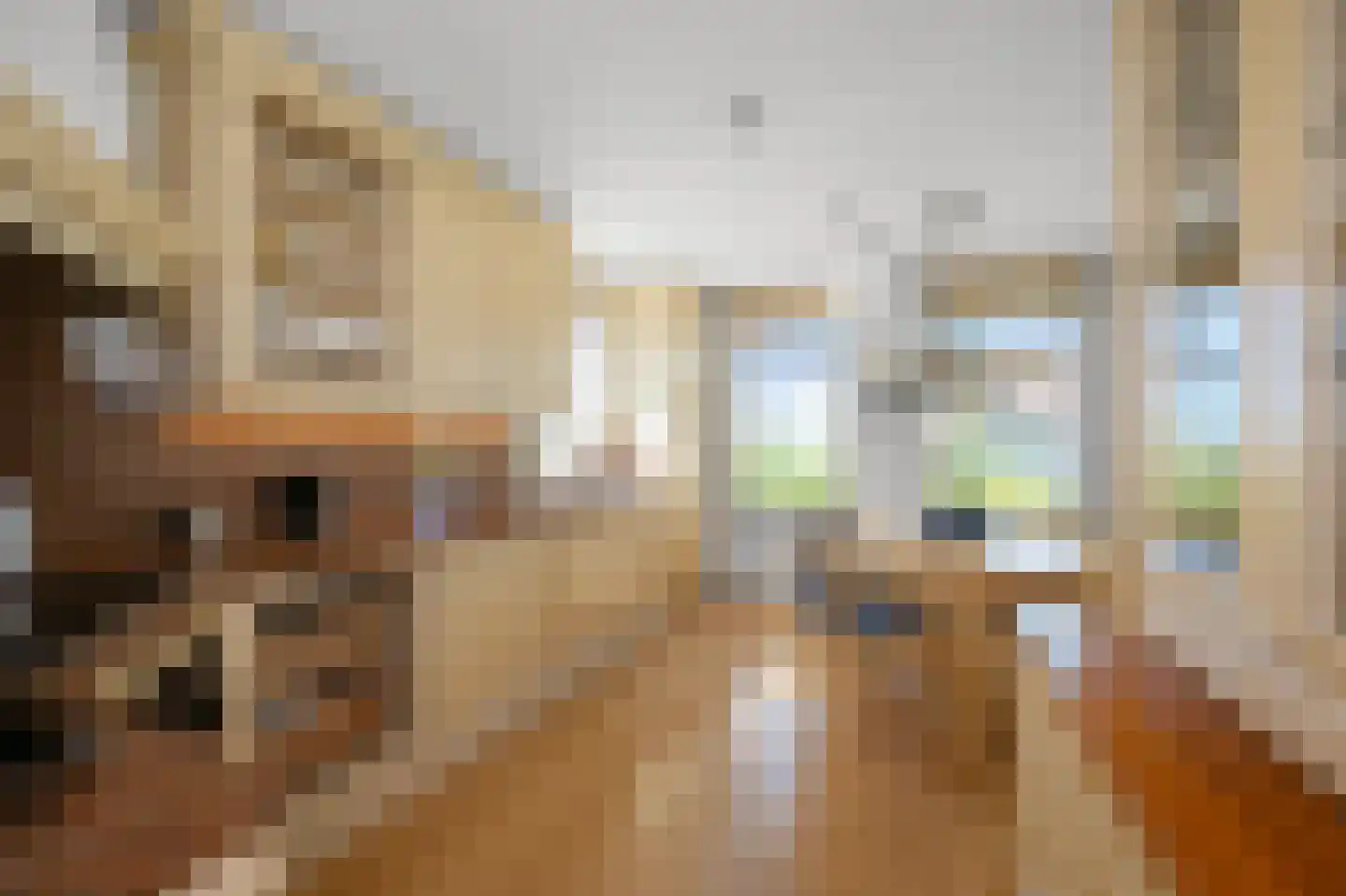 Zuideinde 227 Westzaan thumbnail 16