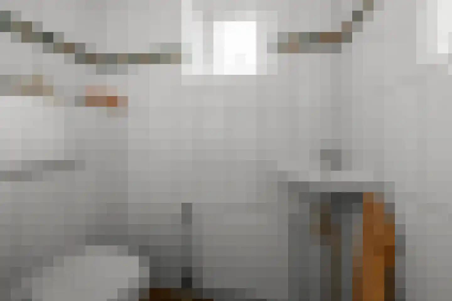 Zuideinde 227 Westzaan thumbnail 21