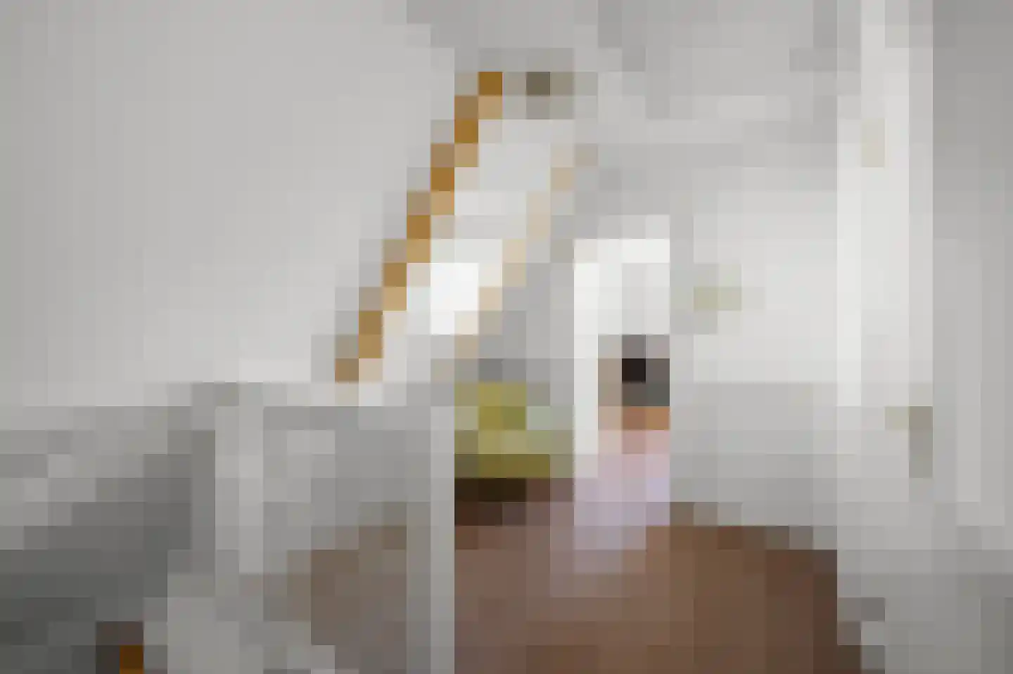 Zuideinde 227 Westzaan thumbnail 23