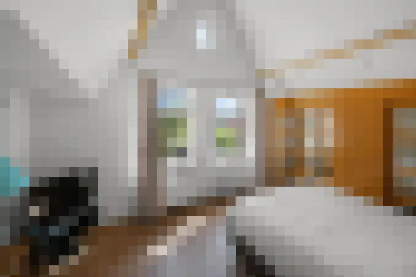 Zuideinde 227 Westzaan thumbnail 24