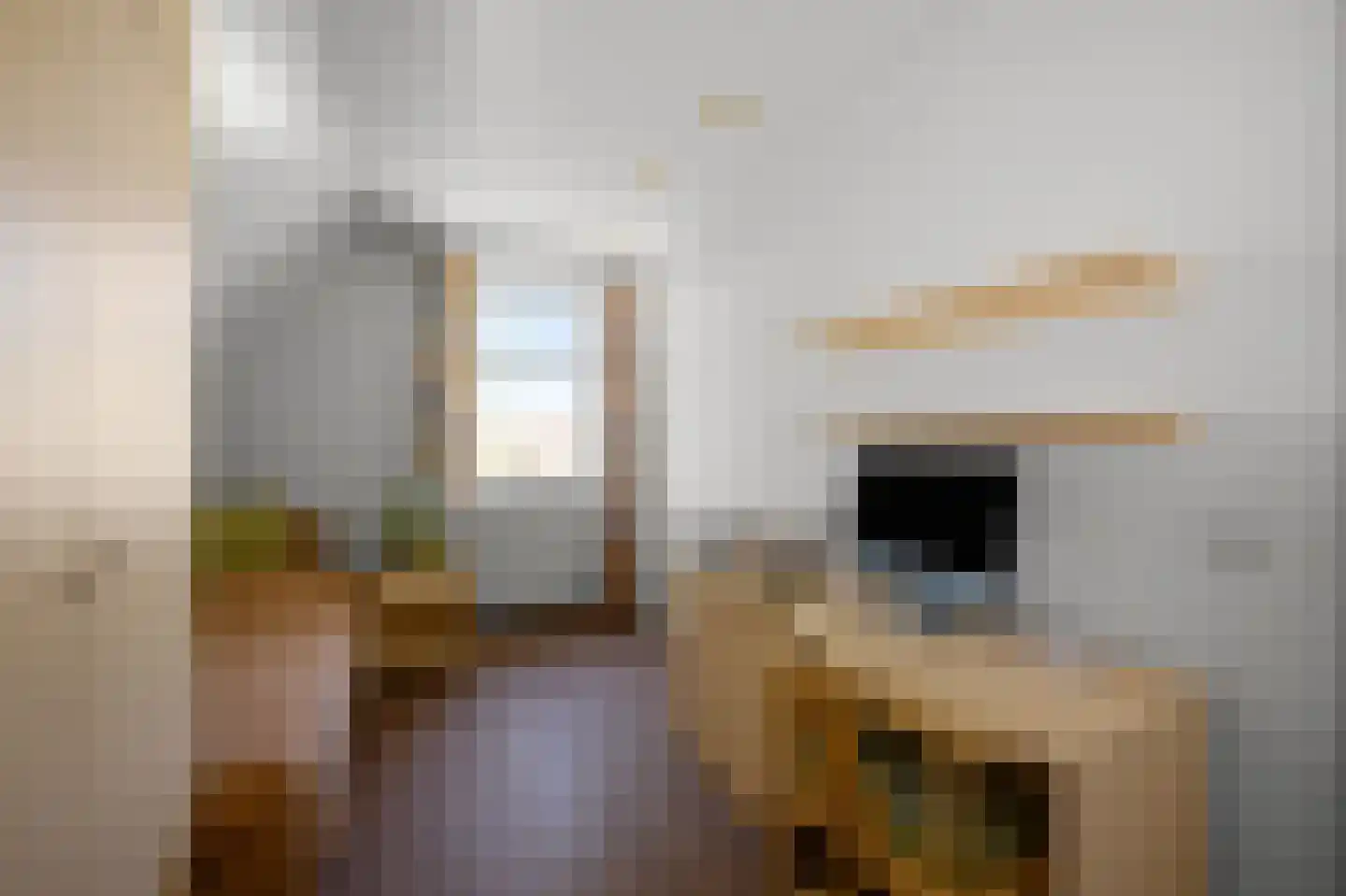 Zuideinde 227 Westzaan thumbnail 29