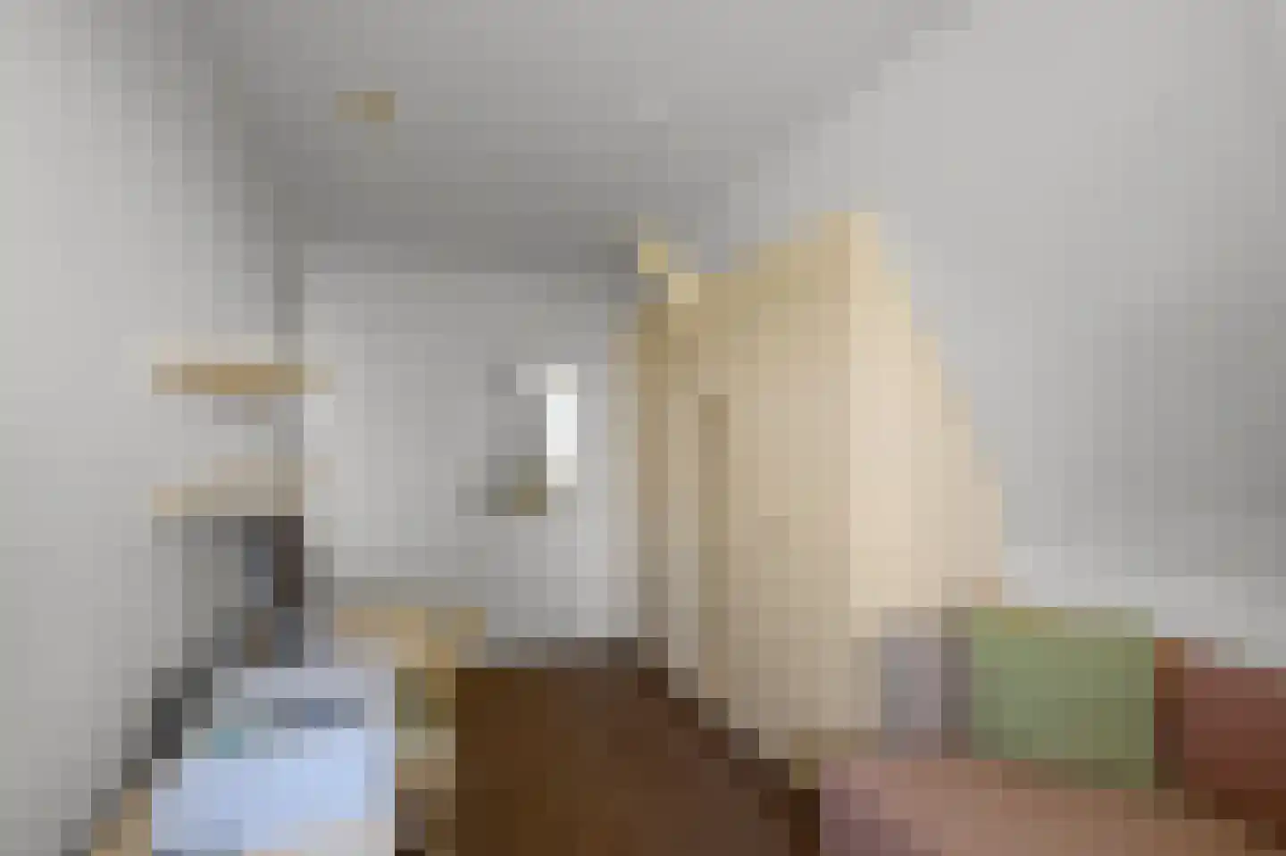 Zuideinde 227 Westzaan thumbnail 30