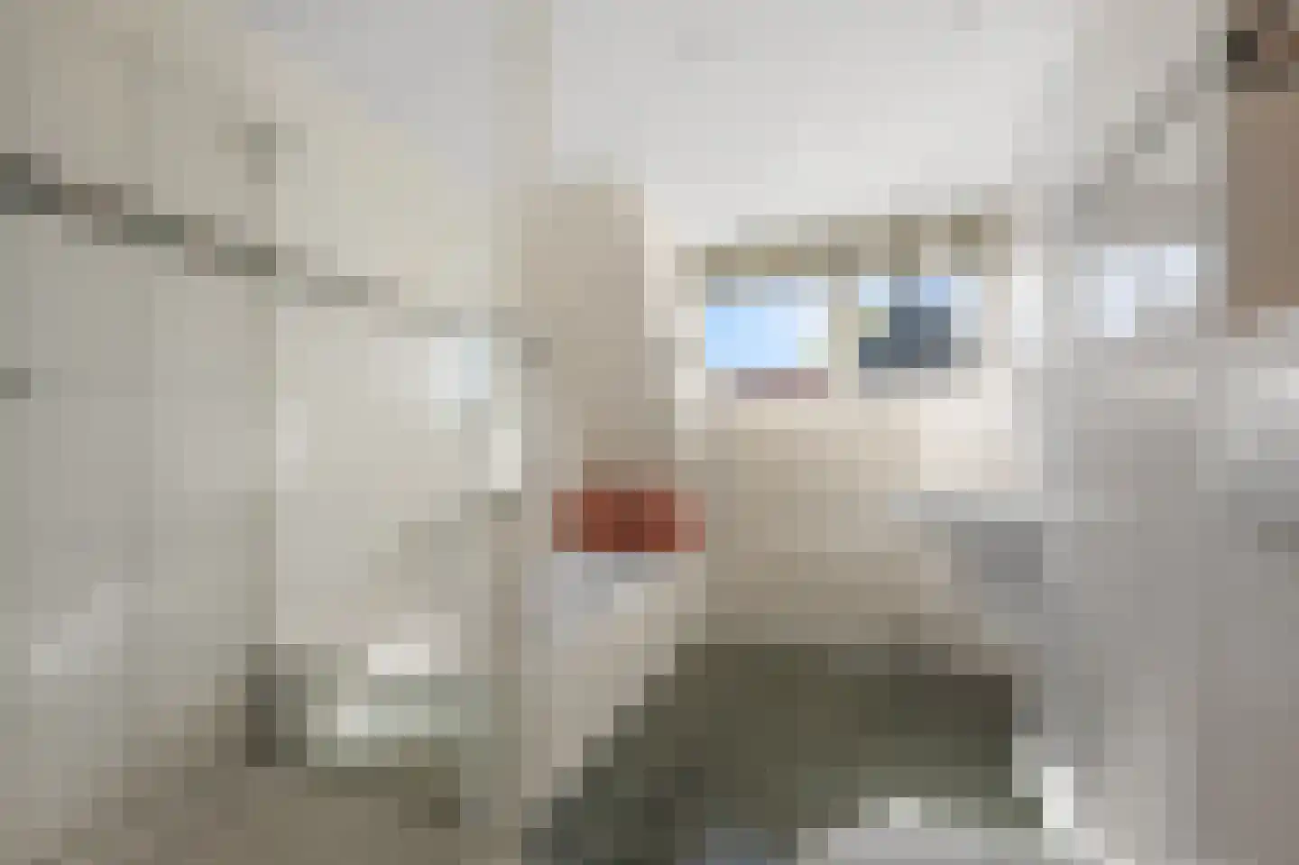 Zuideinde 227 Westzaan thumbnail 33