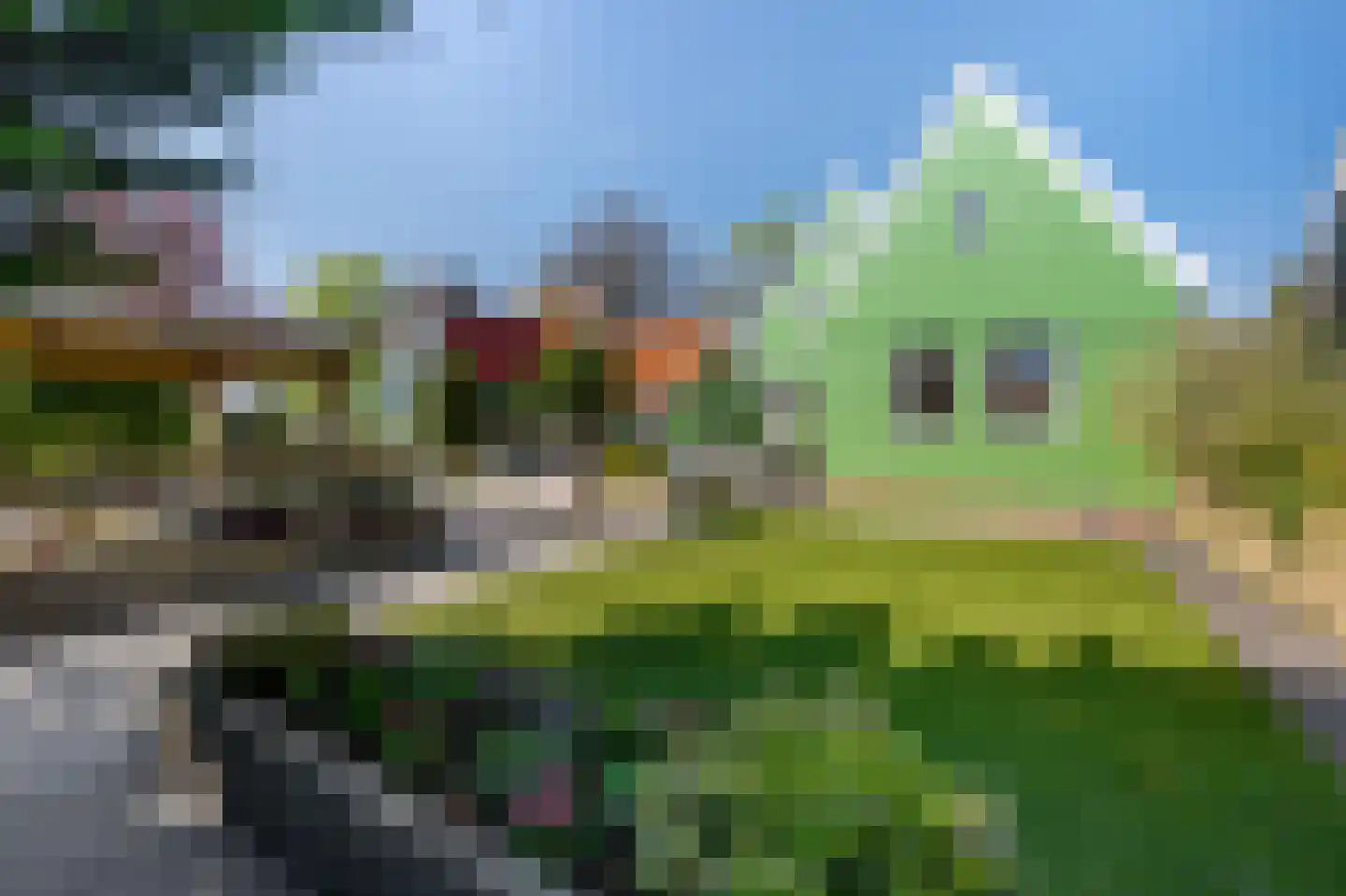 Zuideinde 227 Westzaan thumbnail 38