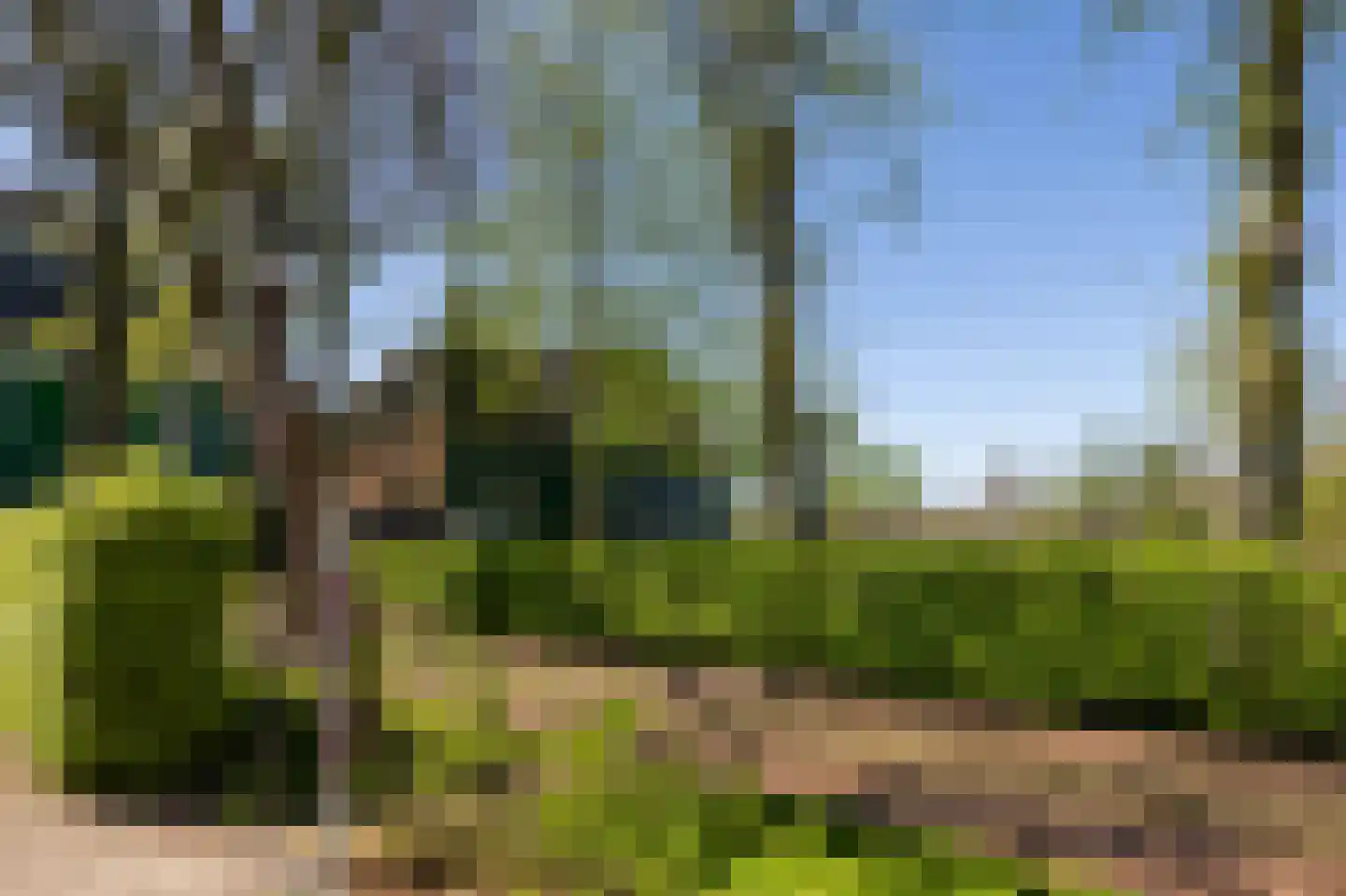 Zuideinde 227 Westzaan thumbnail 49
