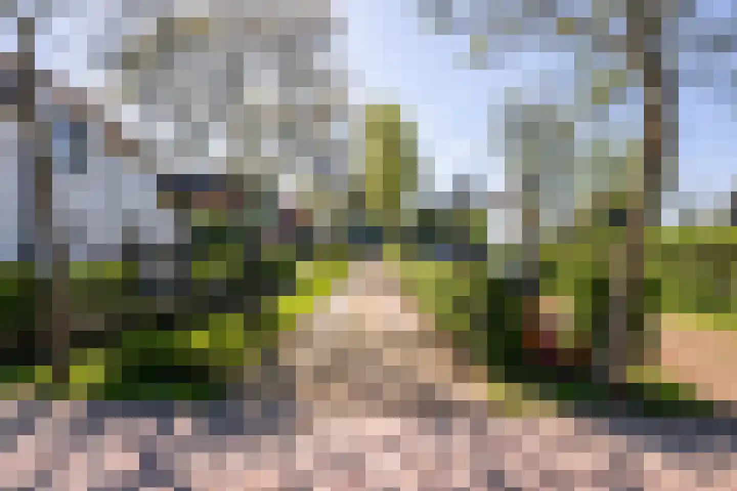 Zuideinde 227 Westzaan thumbnail 50