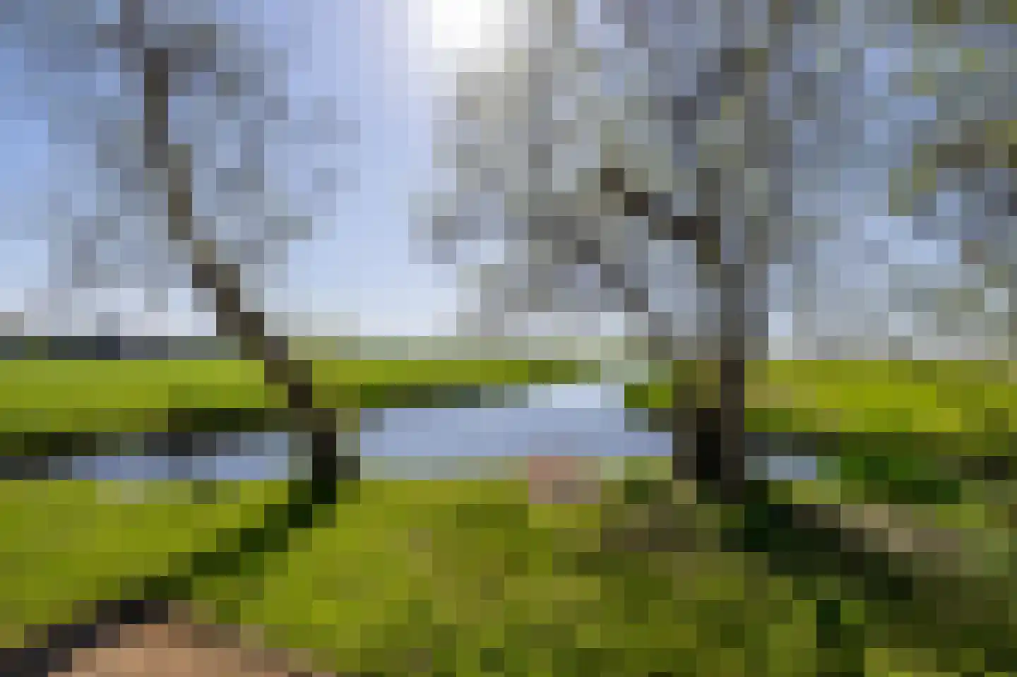 Zuideinde 227 Westzaan thumbnail 52