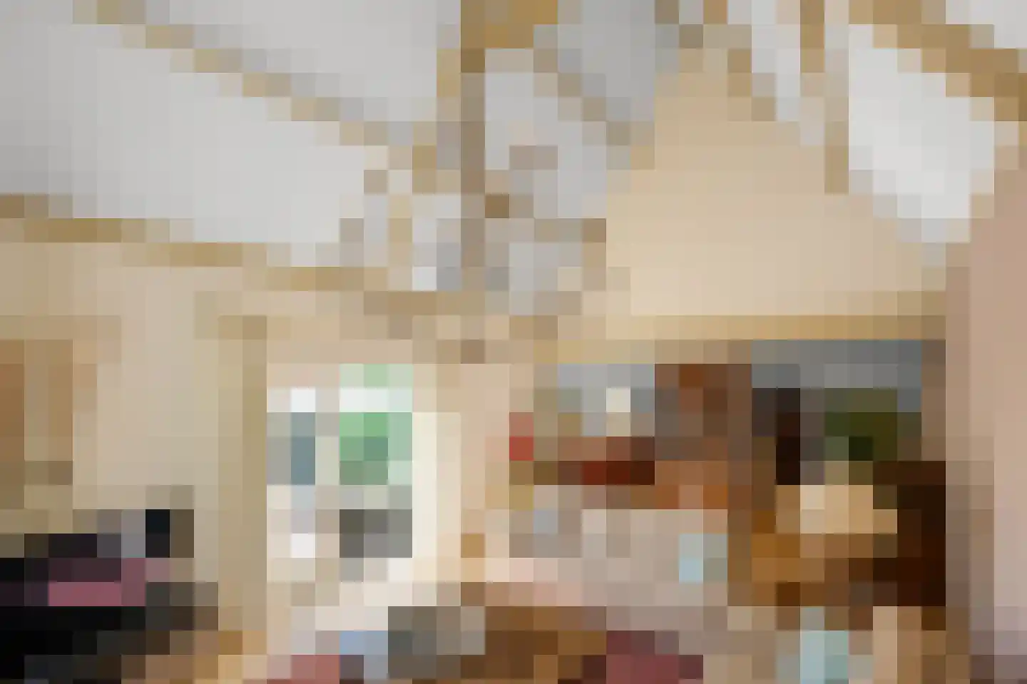 Zuideinde 227 Westzaan thumbnail 6