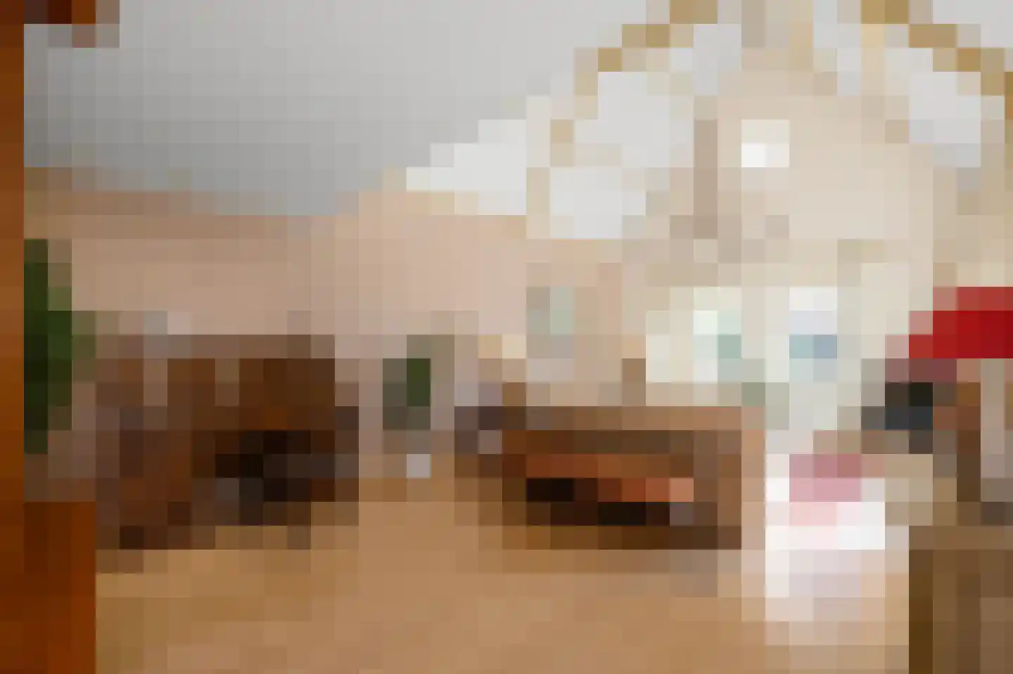 Zuideinde 227 Westzaan thumbnail 8