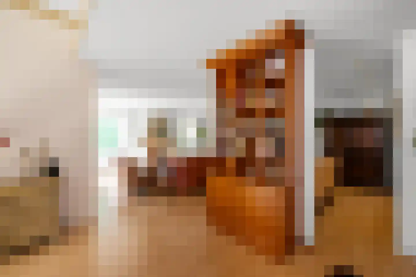 Zuideinde 227 Westzaan thumbnail 9