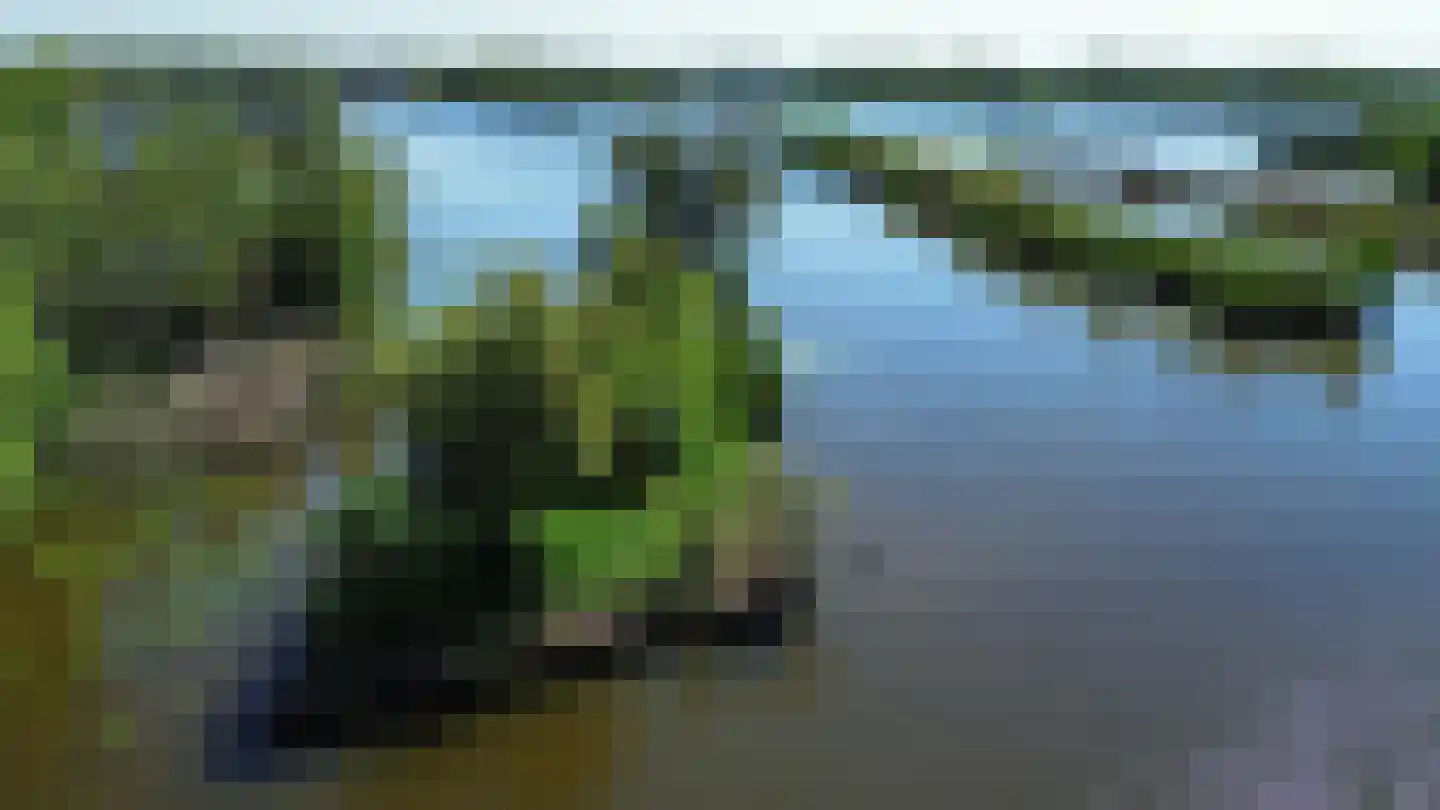 Zuideinde 2283 Nieuwkoop thumbnail 4