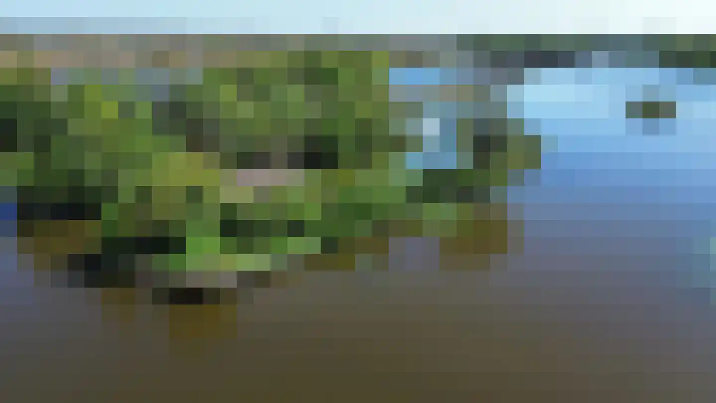 Zuideinde 2283 Nieuwkoop thumbnail 5