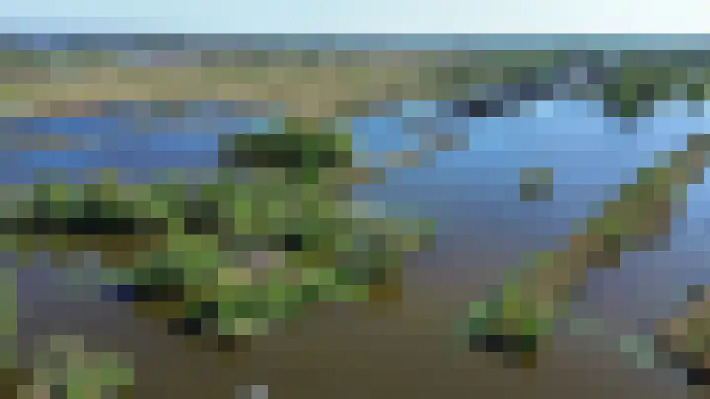 Zuideinde 2283 Nieuwkoop thumbnail 6